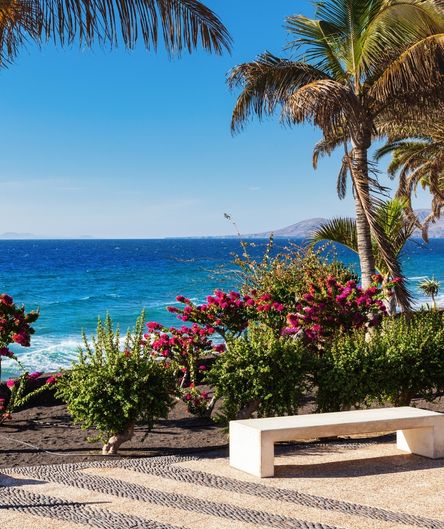 Eine weiße Bank steht vor blühenden rosa Sträuchern und Palmen an einer Promenade mit Blick auf das tiefblaue Meer unter blauem Himmel.