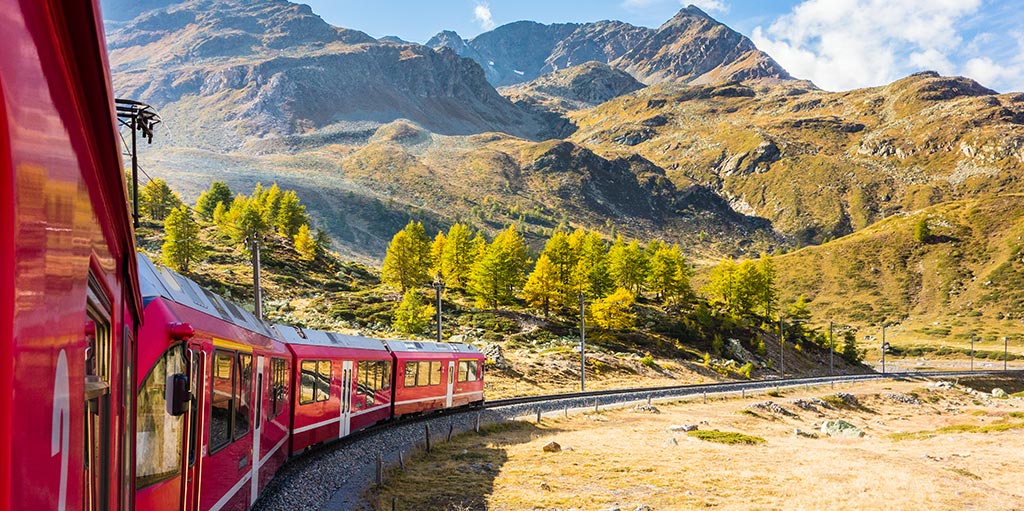 Ein roter Zug des Bernina Express fährt entlang einer malerischen Kurve durch eine alpine Landschaft. Die umliegenden Berge sind mit herbstlich gefärbten Bäumen und trockener, goldener Vegetation bedeckt. Der Himmel ist strahlend blau mit einigen weißen Wolken, was die Szene in warmem Licht erscheinen lässt.